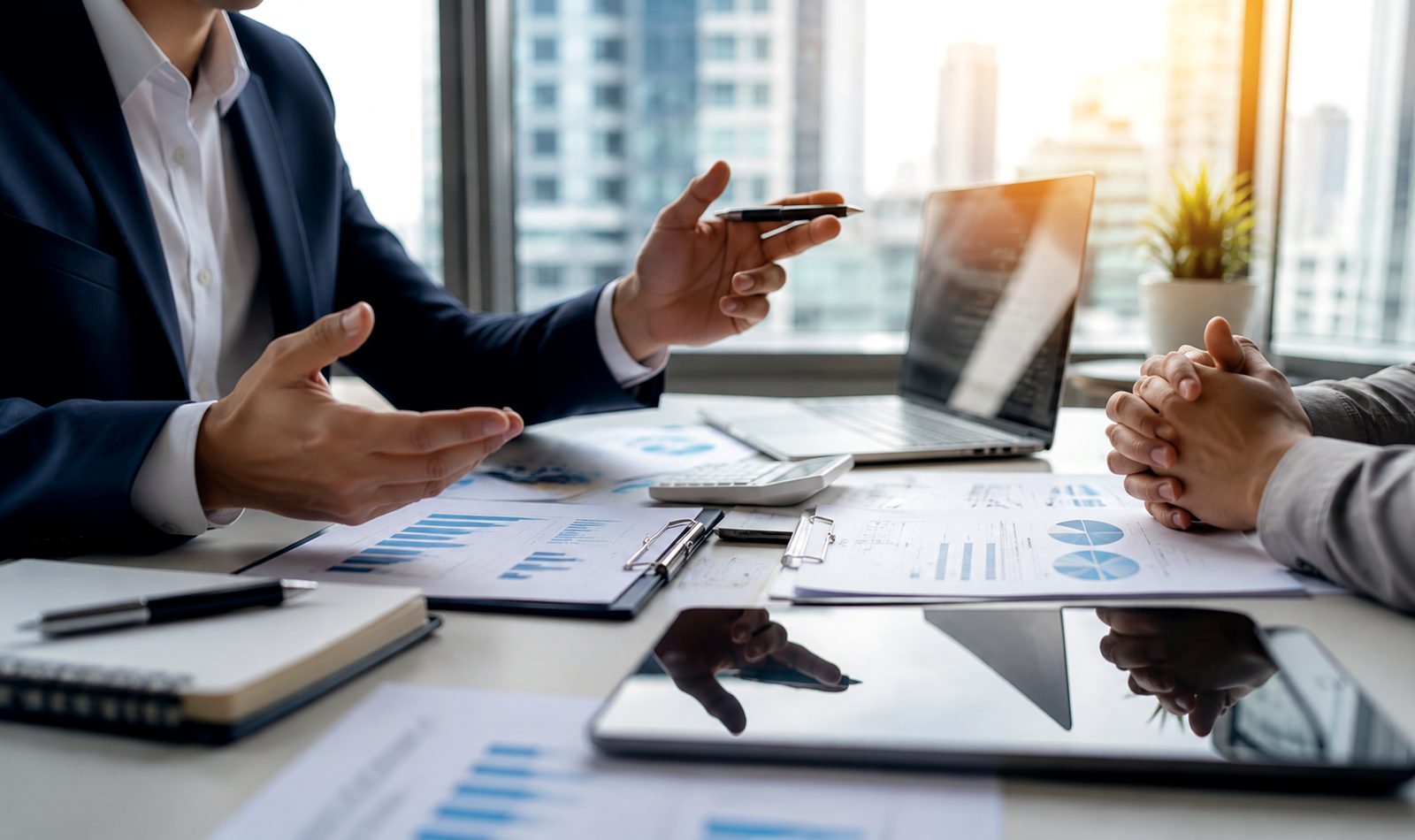 New Business Setup & Consultation